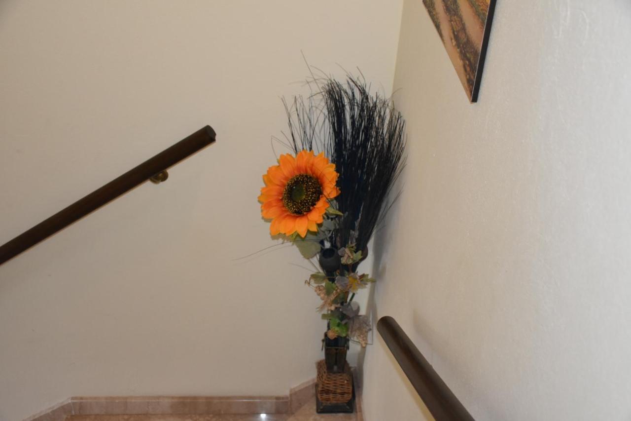אסמיני B&B Il Girasole מראה חיצוני תמונה