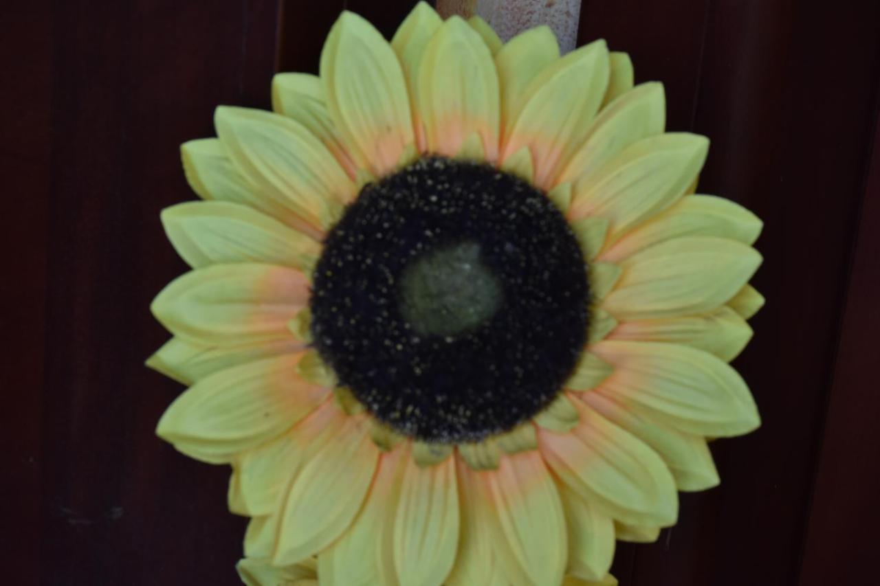 אסמיני B&B Il Girasole מראה חיצוני תמונה