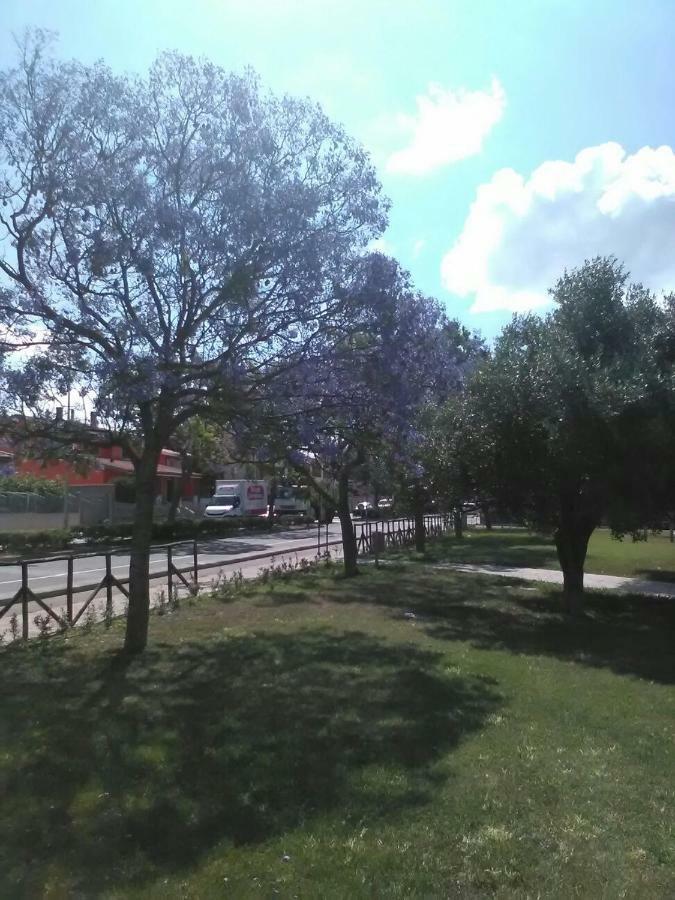 אסמיני B&B Il Girasole מראה חיצוני תמונה