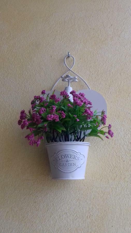 אסמיני B&B Il Girasole מראה חיצוני תמונה